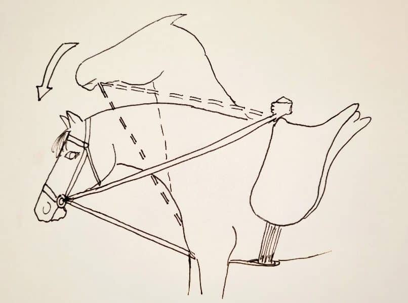 Blog Schlaufzügel Grafik Schlaufzügel, Blog, Hausarbeit