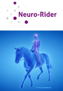 Logo Neuro-Rider